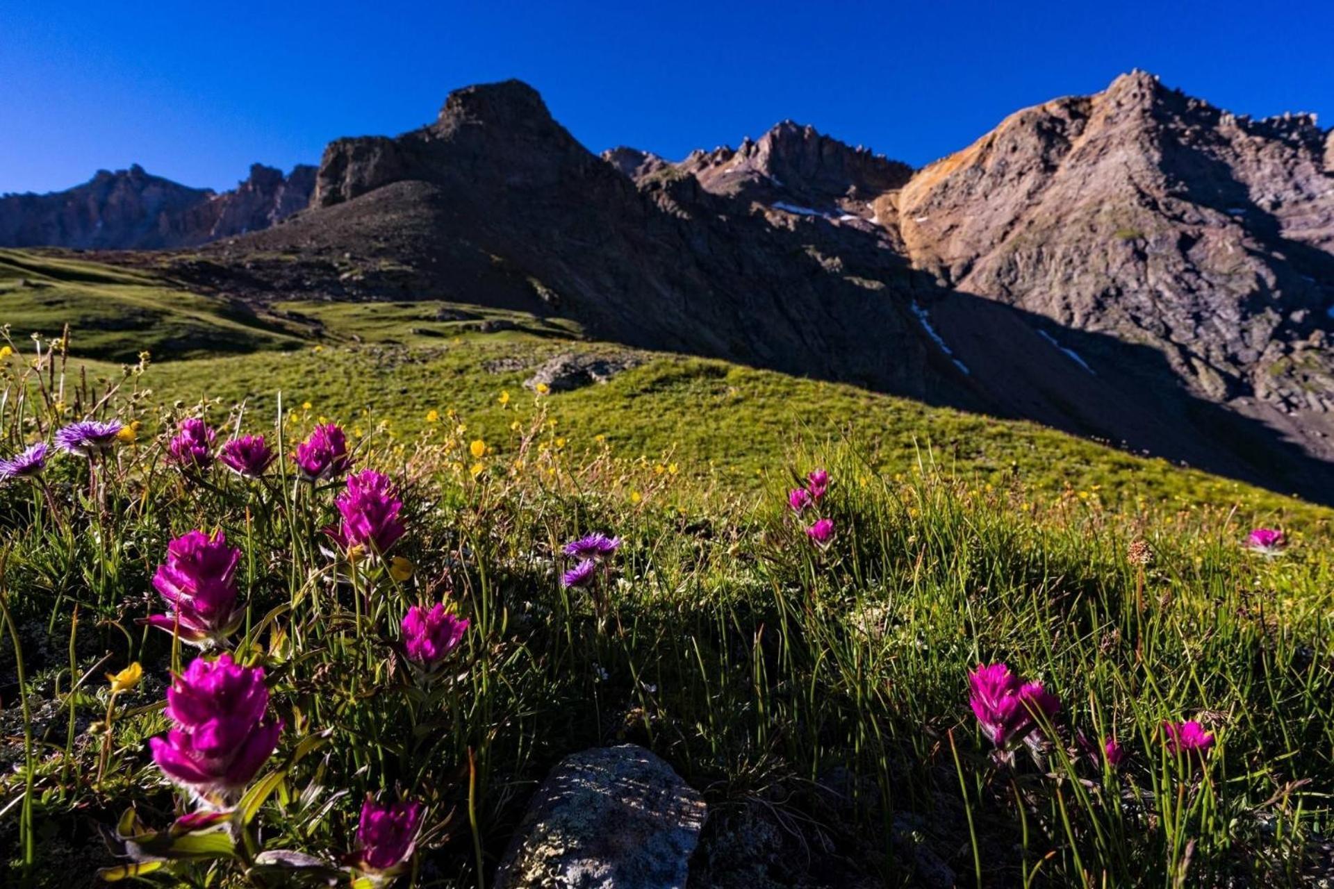 Willa Outlaws Creek Telluride Zewnętrze zdjęcie